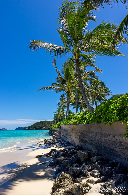 Honolulu lanikai beach - Vita Farrar