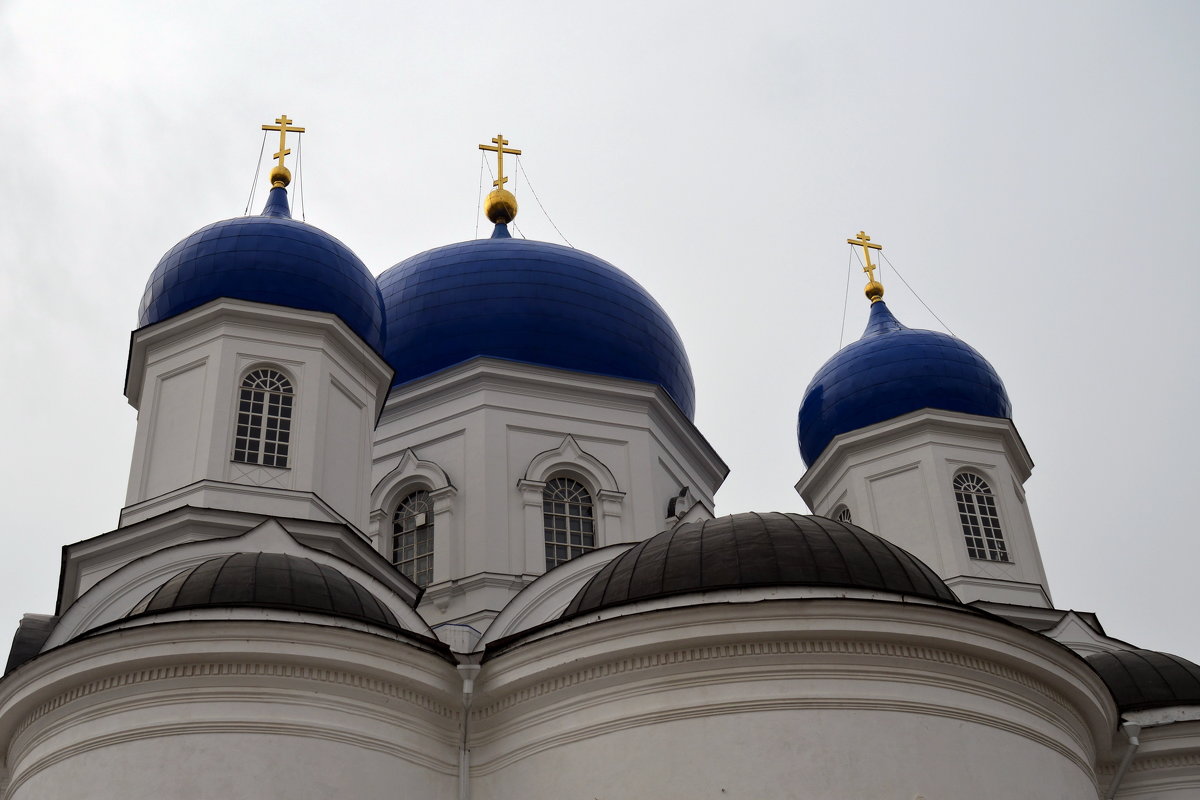 Купола Свято-Боголюбского женского монастыря - Николай Варламов