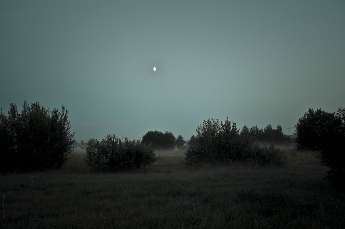 Луна всходит - Анна (Анка) Салтыкова