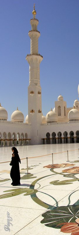 Abu Dhabi. Мечеть шейха Зайда - Voyager .