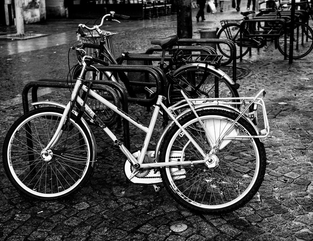 Bicycle ( велосипед) - Liudmila Grinfeld 