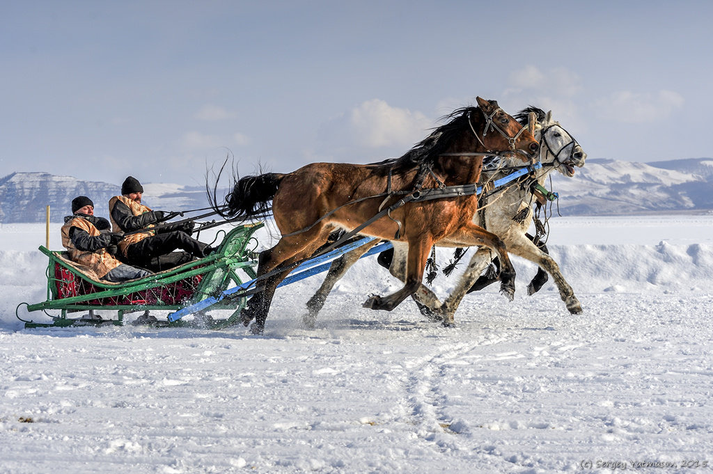 Новоселово - 2015 - Sergey Yatmasov