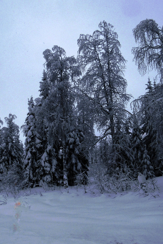 Зима - petyxov петухов