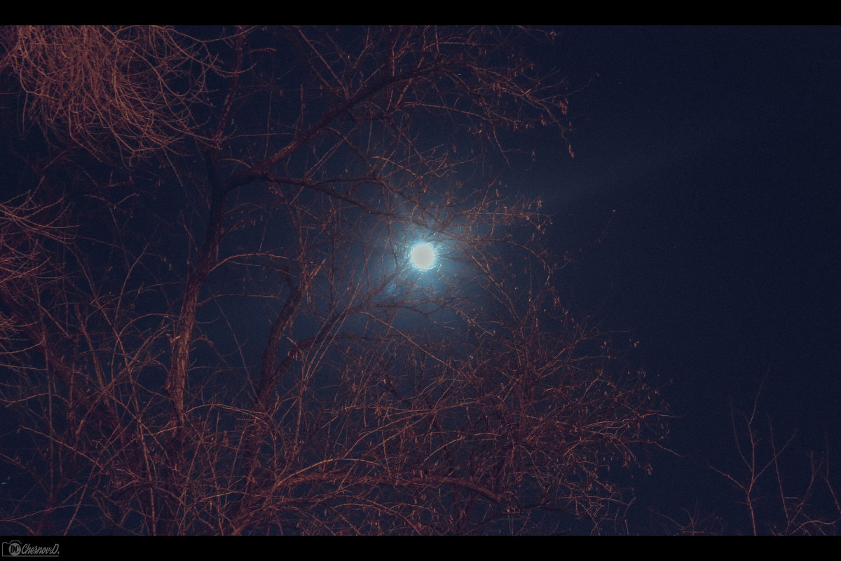 Задумывая тёмные дела на небе ухмыляется луна - Дмитрий Чернов