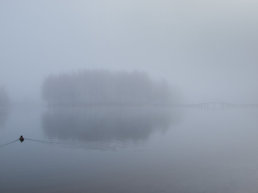 .......... - Александр Губарев