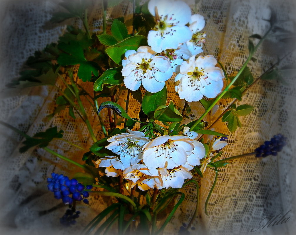 И это облако цветочков белых яблонь  Оберегает нашу хрупкую любовь!!! - Людмила Богданова (Скачко)