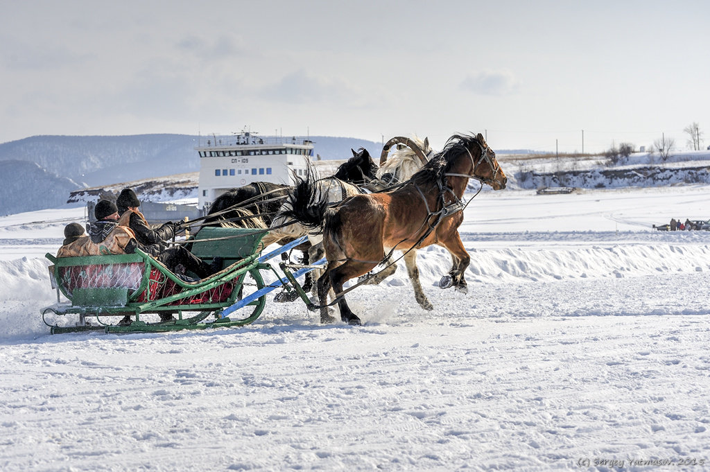 Новоселово - 2015 - Sergey Yatmasov