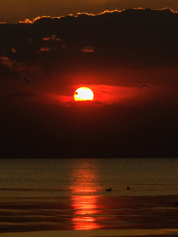 Закат над морем - Андрей Дворников