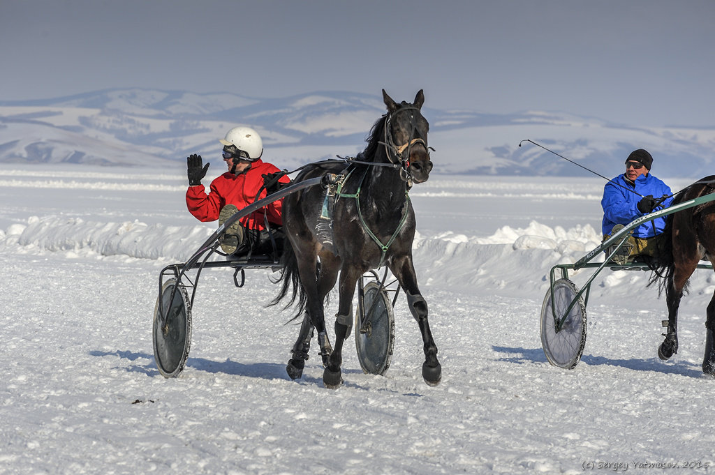 Новоселово - 2015 - Sergey Yatmasov