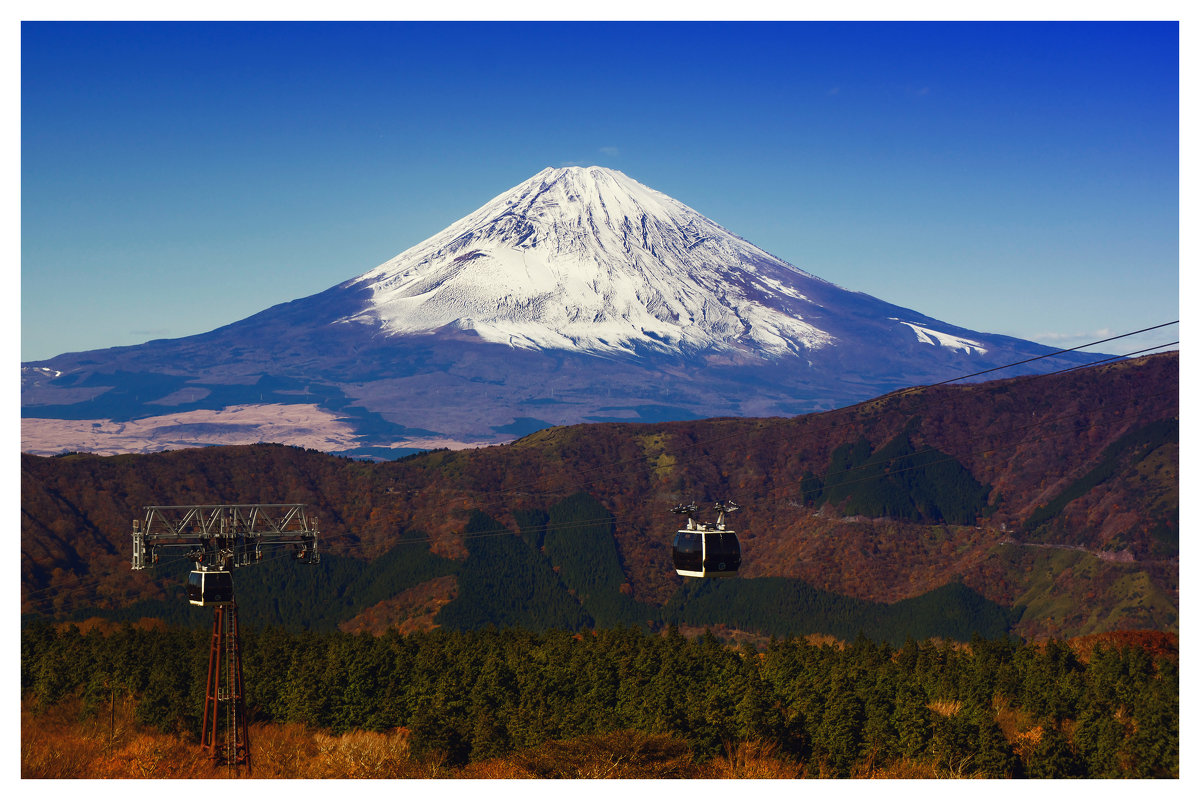 Fuji - Slava Hamamoto