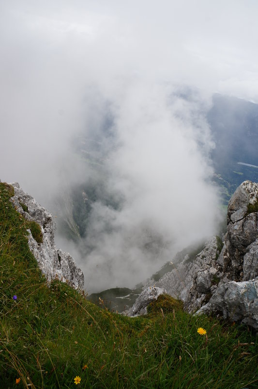 Туман в горах - Алёна Савина