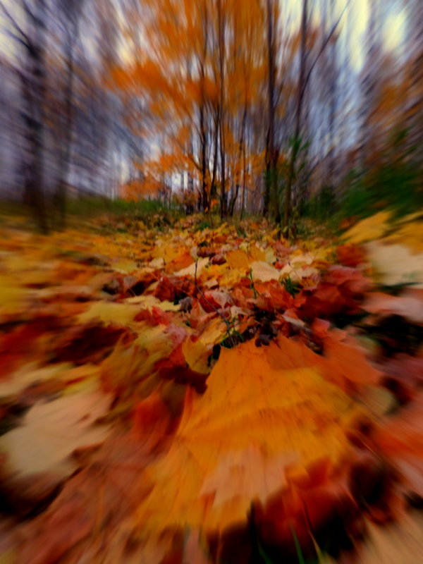 Осенняя - лена григорьева