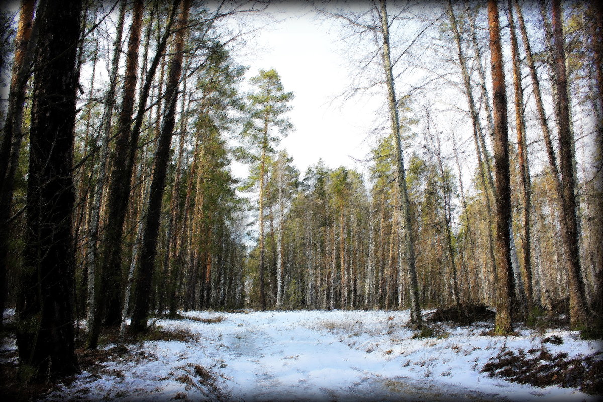 Лес в конце зимы - Алексей Подлесный