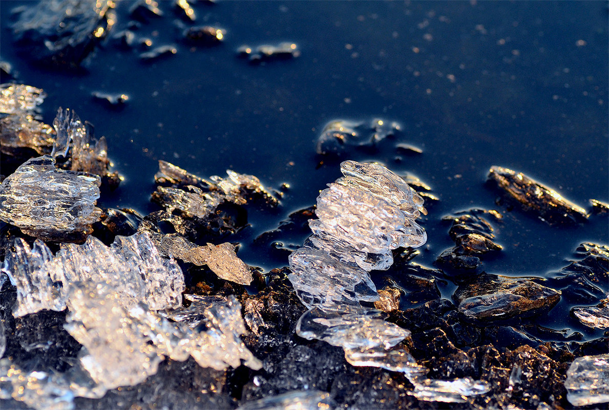 Лёд тает в холодной озерной воде - ID@ Cyber.net