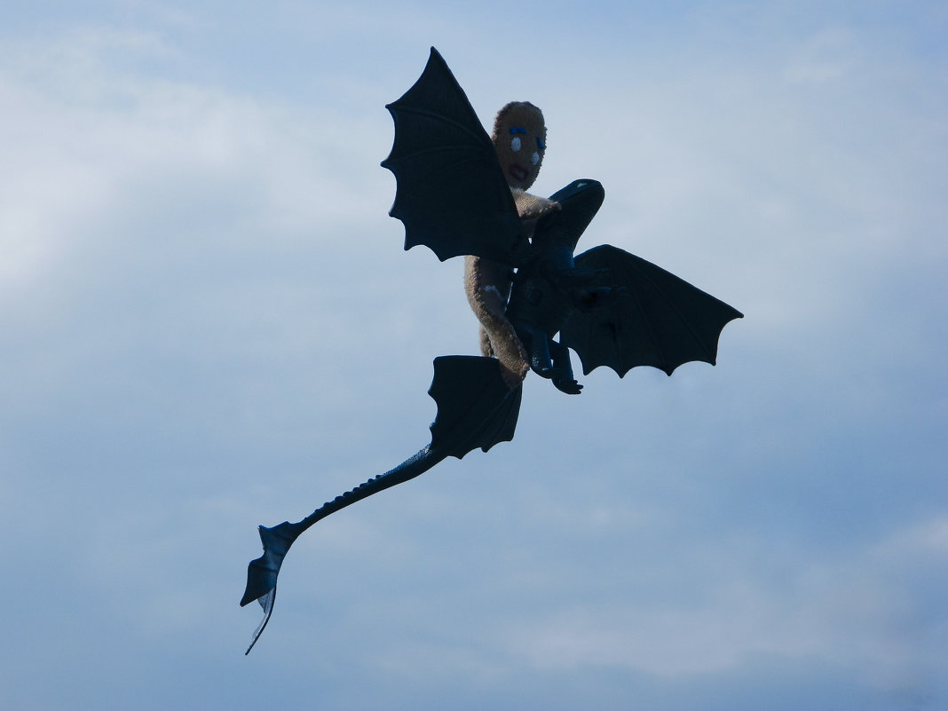 How to train your Dragon) - Maggie Aidan