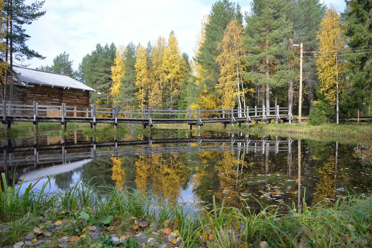 Осень в музее - ЮрийС 