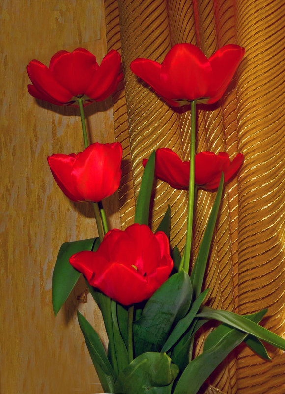 Тюльпаны - Наталья (D.Nat@lia)