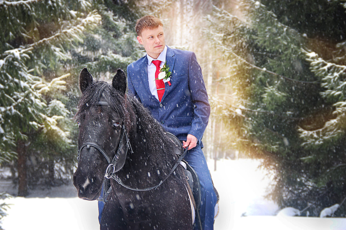Принц на коне - Анастасия Ульянова