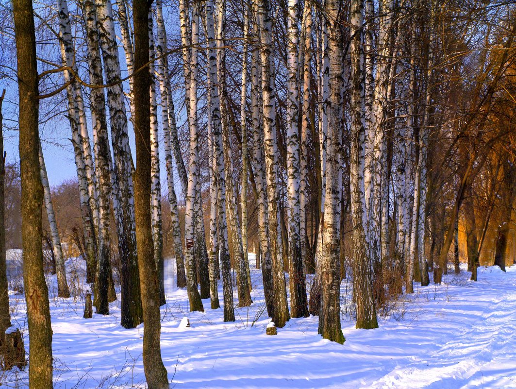 *** - Александр 