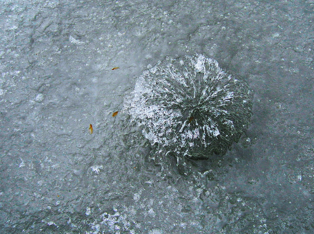 Ледяной цветок - val-isaew2010 Валерий Исаев