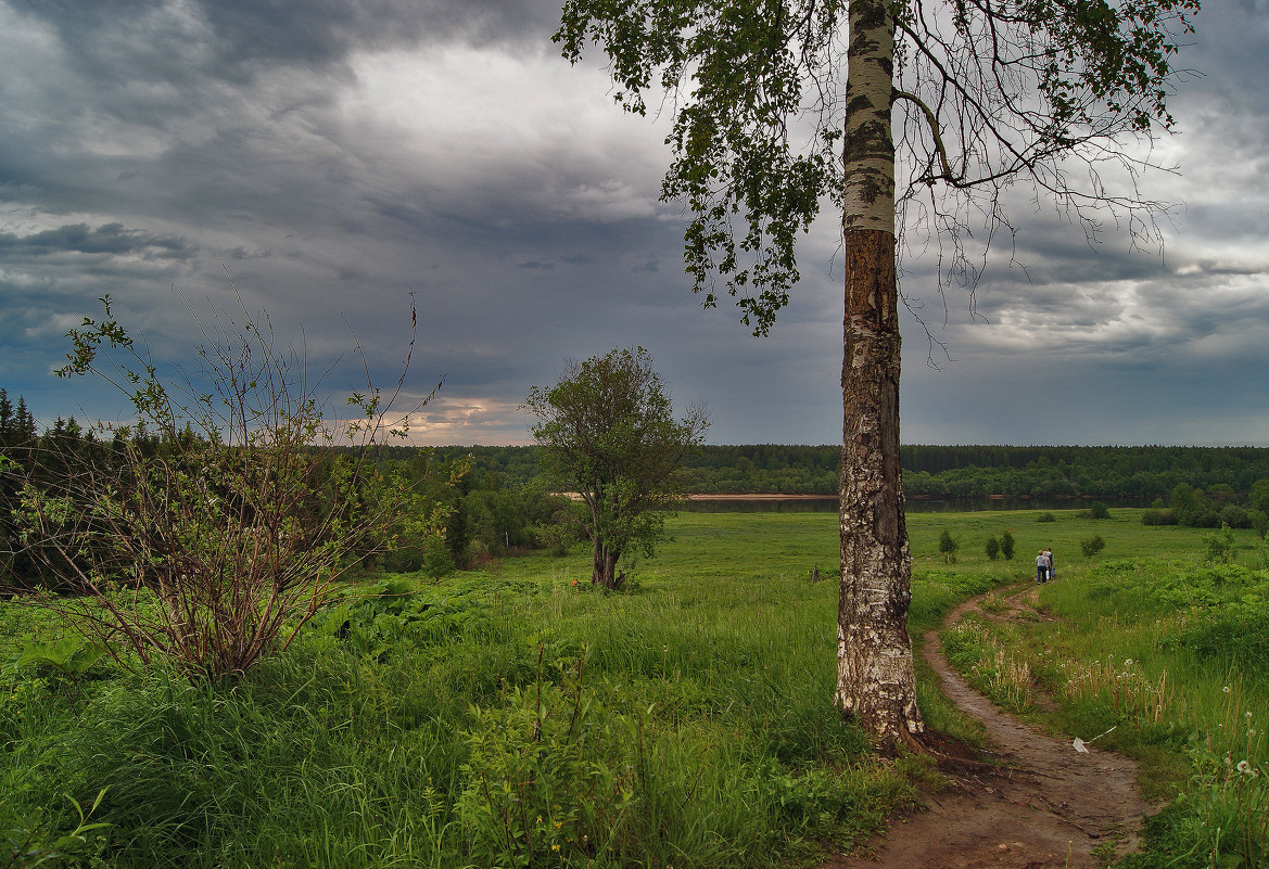 К реке - Наталья Гжельская