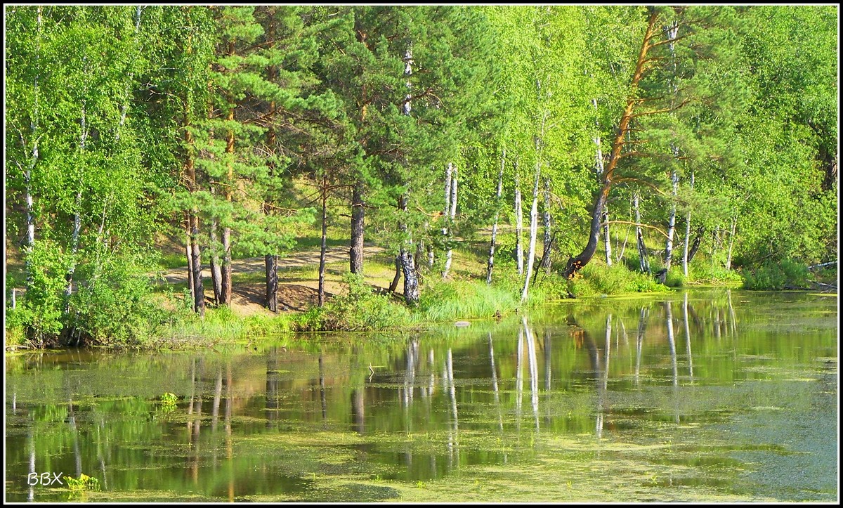 Заводь - Василий Хорошев