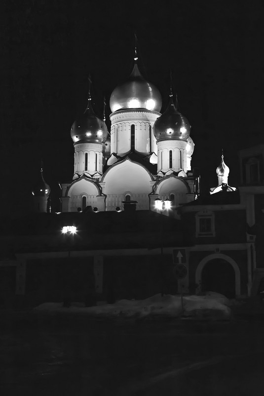 Зачатьевский монастырь. Собор Рождества... - Виктор Ляпин