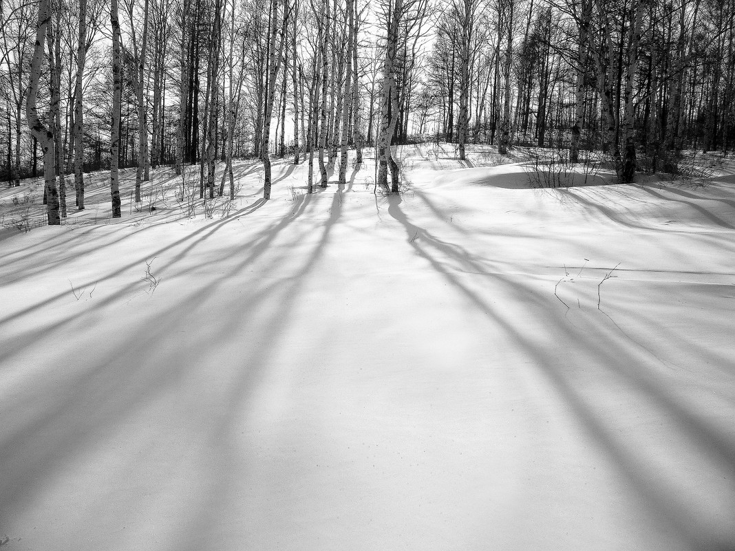 Тени на снегу - Александр Мурзаев