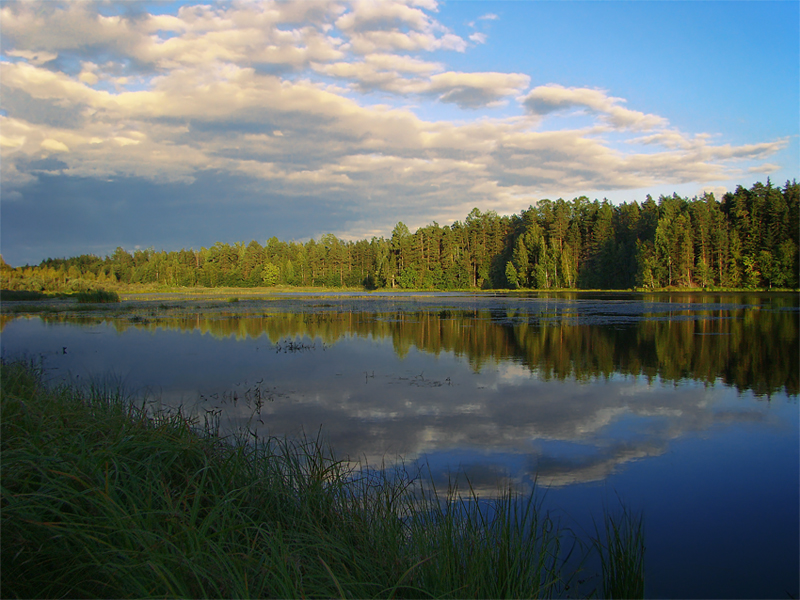 Лесное озеро - Альберт Беляев