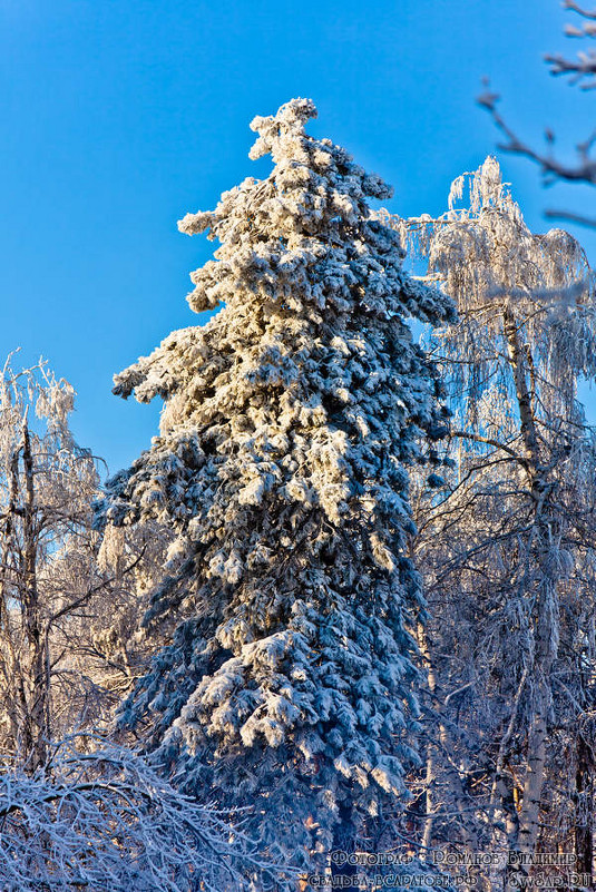 Зима - Владимир Романов