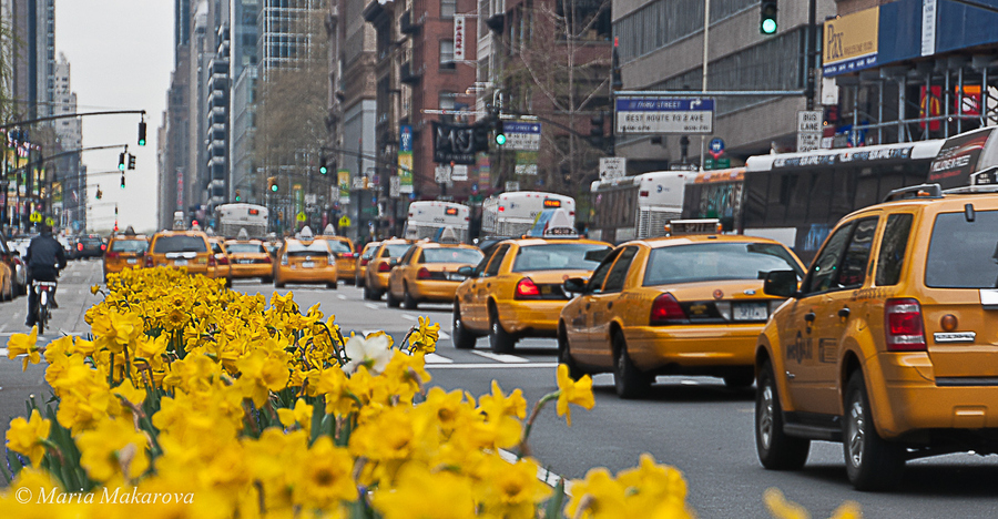 NYC Yellow lines - Мария Макарова