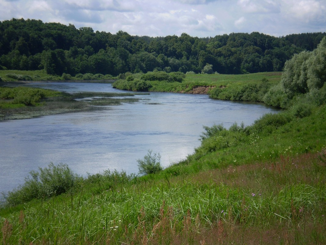 Река Илья