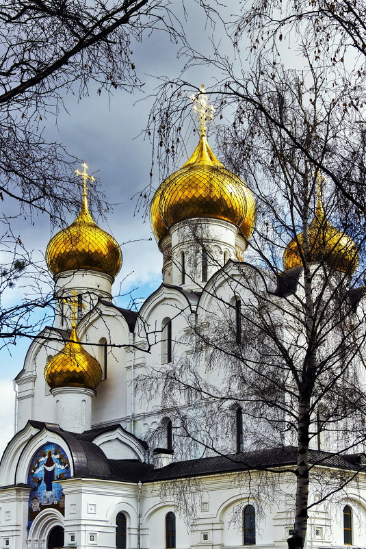 Золотые купола - Алексей Дмитриев