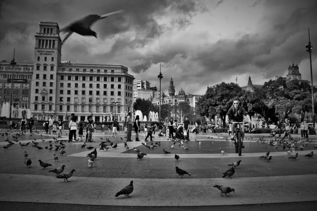 ...и голуби на главной площади большого города - Сергей Дабаев