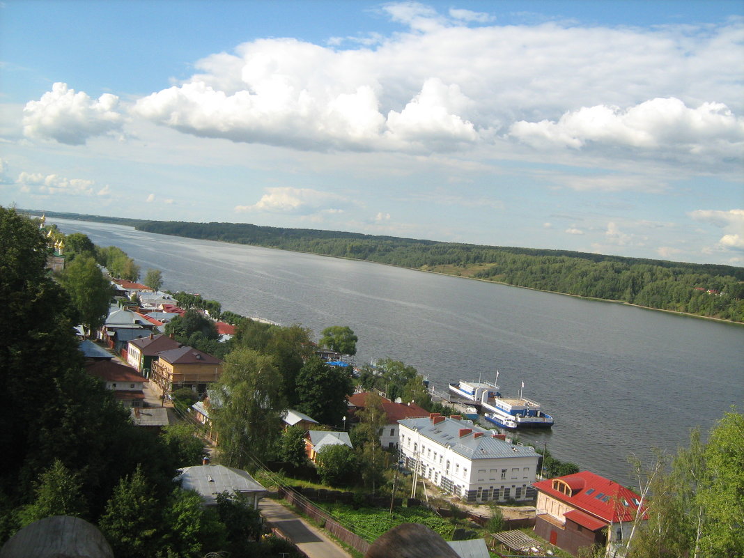 Золотой Плес - Роза Троянская