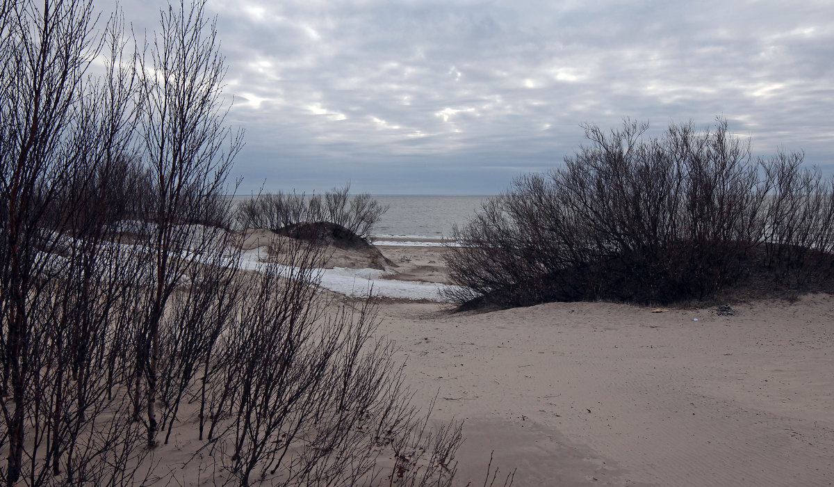 Северодвинск. Весна наступает. Белое море. Аскетичный пейзаж - Владимир Шибинский