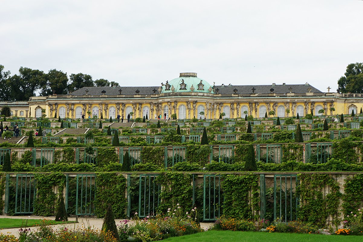 Виноградные террасы на фоне дворца Сан-Суси - Елена Павлова (Смолова)