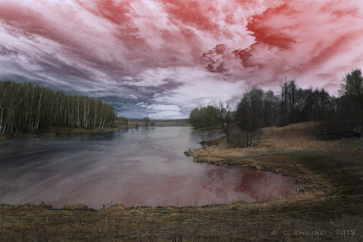 Небесный пожар - Андрей Шейко