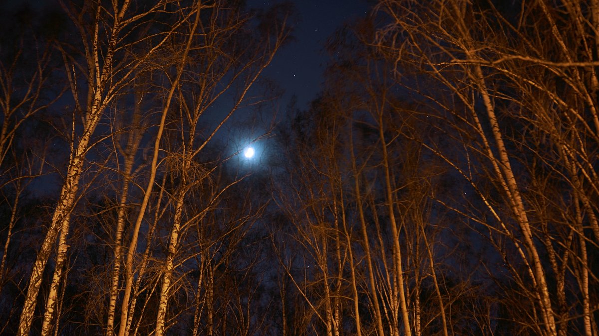 ночью в парке - Михаил Фролов