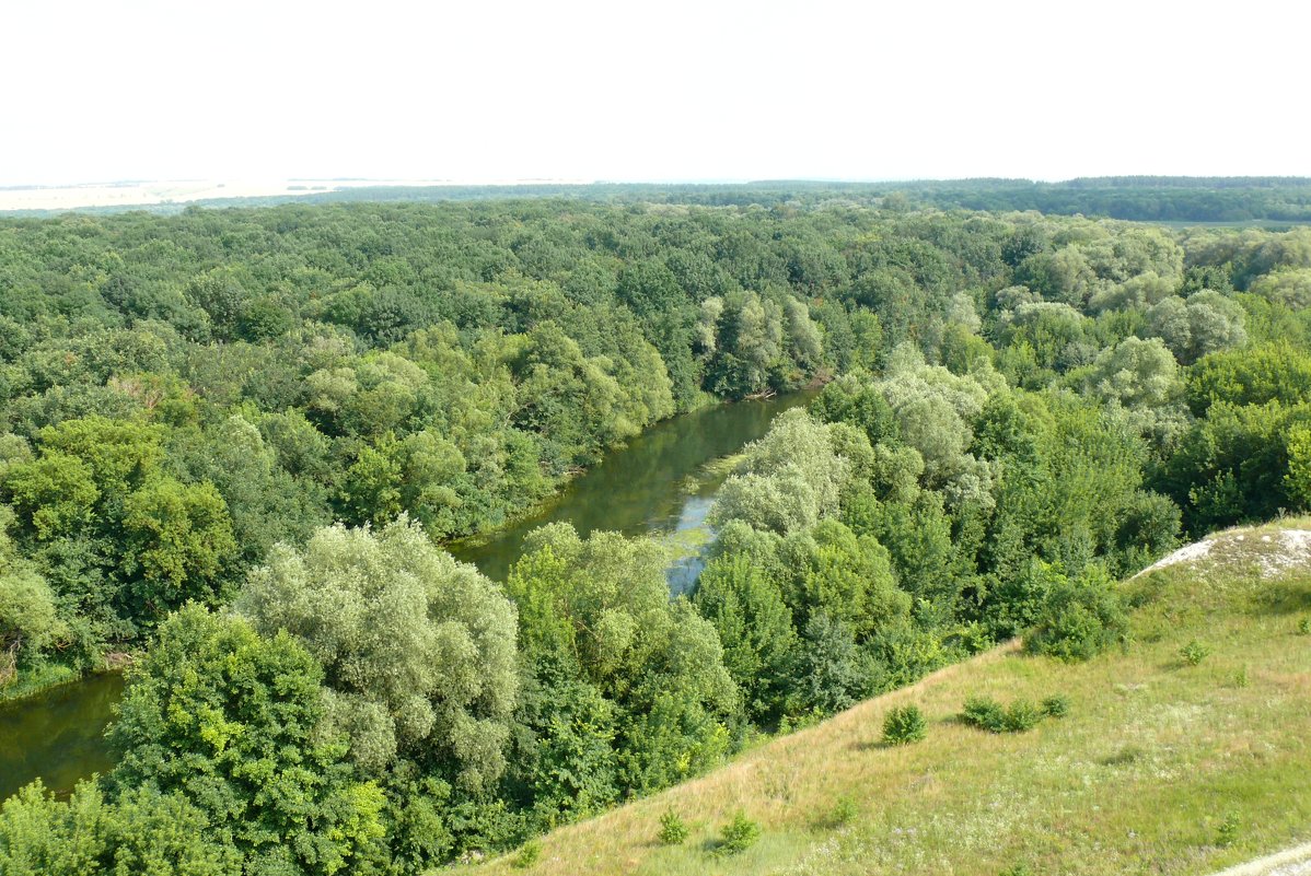 Катит свои воды Оскол - Елена Елена