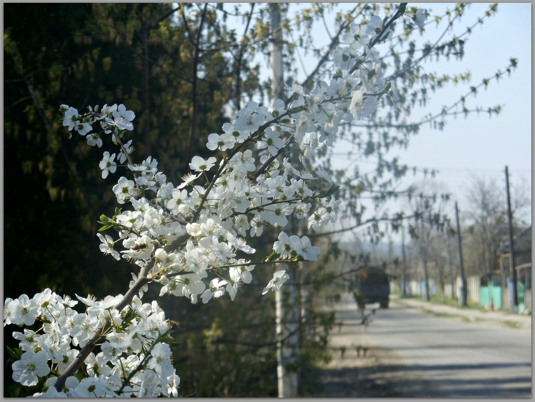 Весна в пути - galinka boss*