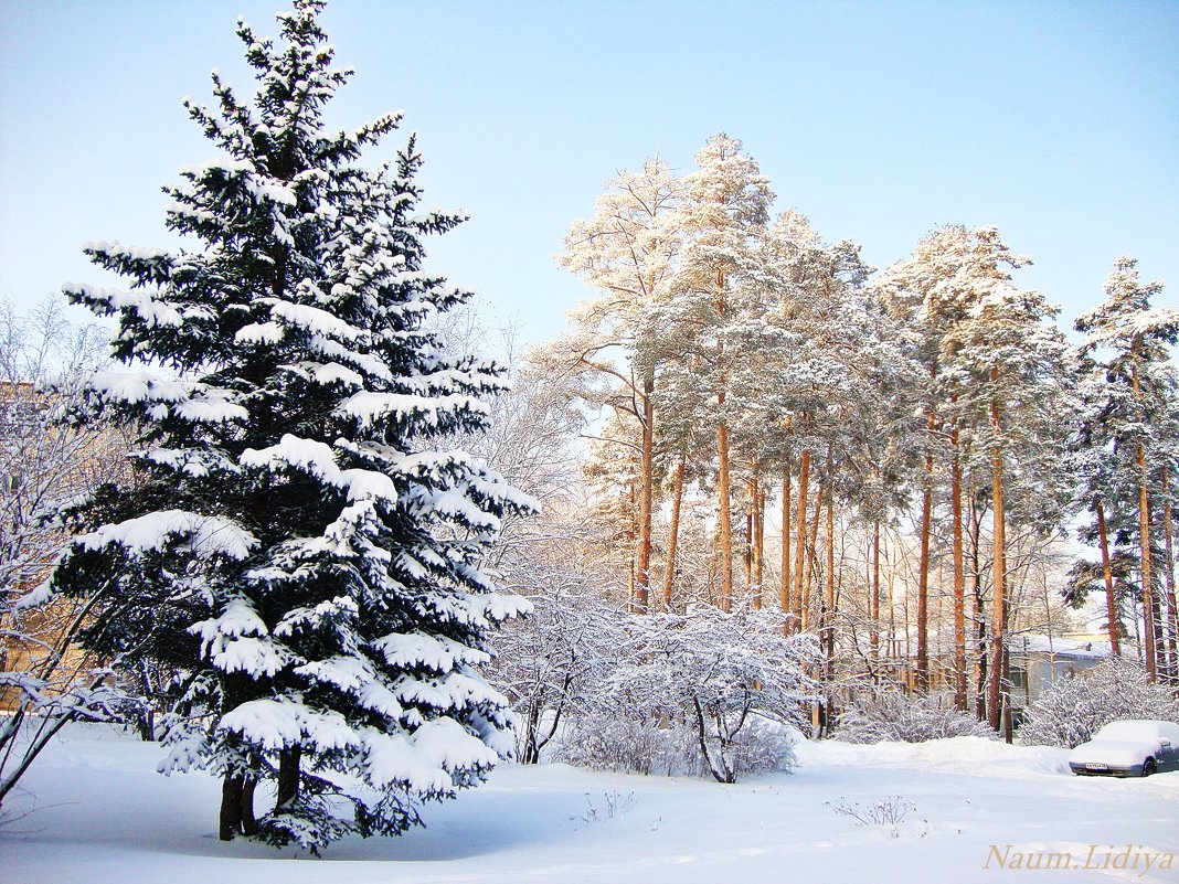Зима уже в прошлом - Лидия (naum.lidiya)