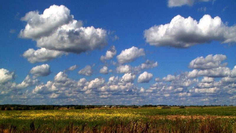 Облака плотнее к горизонту - Сергей Тарабара