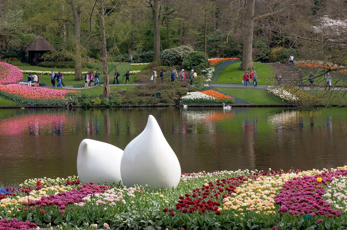 Tulips in Holland 04-2015 - Arturs Ancans