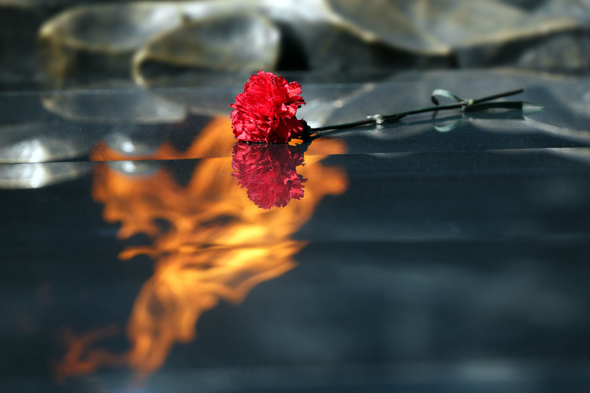 цветок в огне - Евгений Морозов