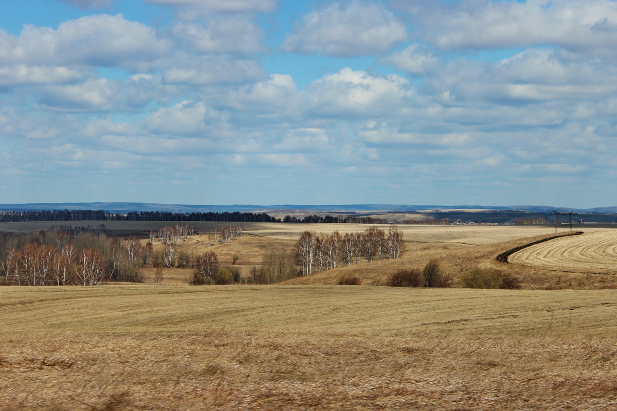 Просторы Сибири Ачинск