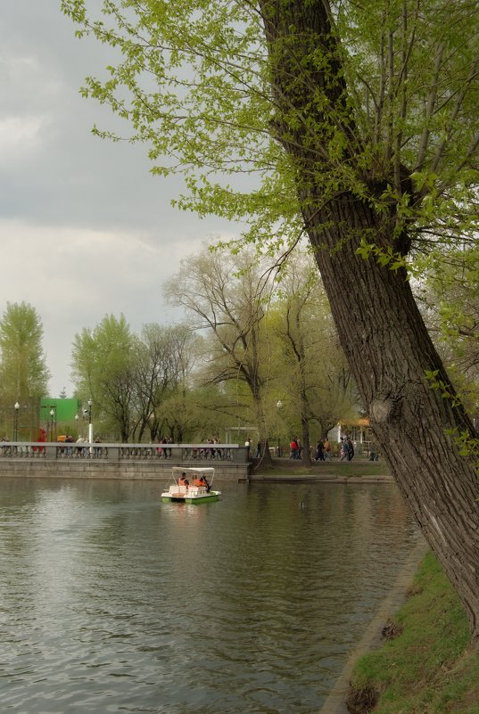 Голицынский пруд, в парке Горького - Георгий Калиберда