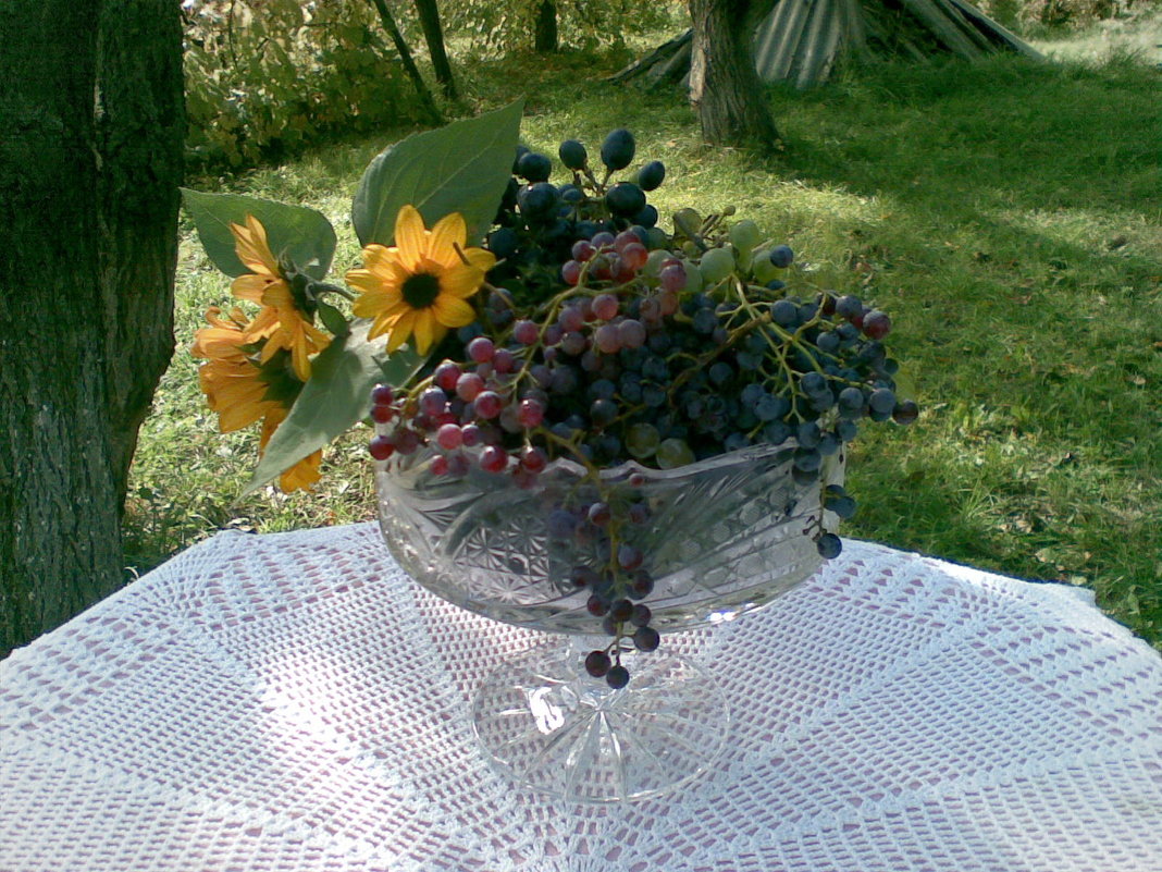 цветы и виноград - салазкин владимир 