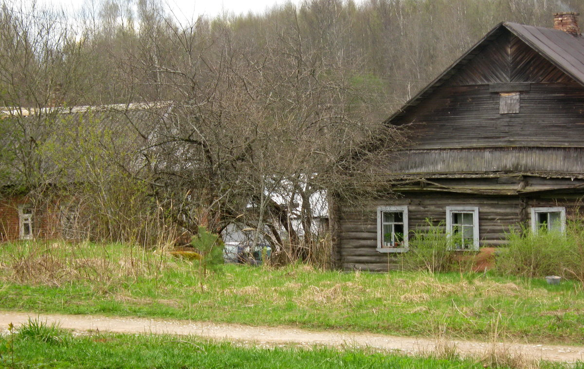 Утро. - Владимир Гилясев