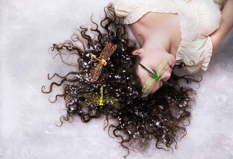 Стрекозы в снегу - Дарья Сивачук